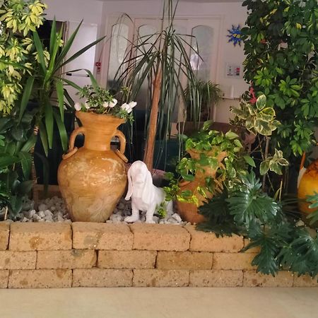 Hotel De Amicis Riccione Eksteriør billede