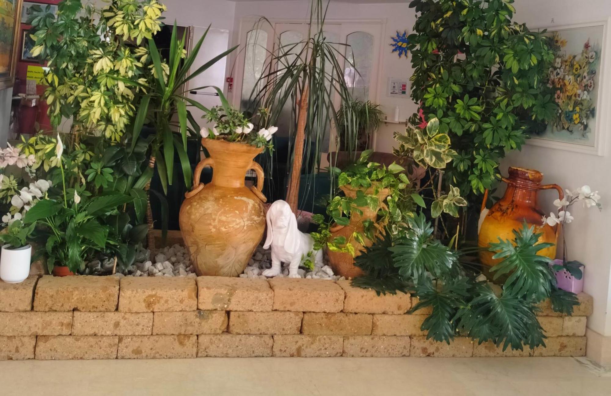 Hotel De Amicis Riccione Eksteriør billede